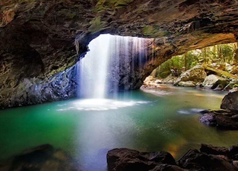 gold coast hinterland great walk guided tour